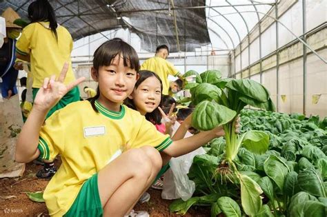 楊桃園農莊怎麼樣?種植與生態如何平衡?